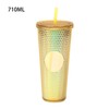 Plastic Cup with Lid and Straws, 710 ml Drinking Cup,
