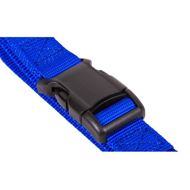 Nylon Dog Collar Collar Buckle with Security 1 (2.5 cm