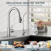FORIOUS Kitchen Faucet and Water Filter Faucet Combo, Brushed Nickel