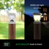 HOME ZONE Security Solar Post Cap Lights - Decorative Glass