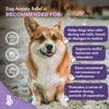 Pet Relax Dog Calming Anxiety Relief, Long-Lasting Dog Relaxants for