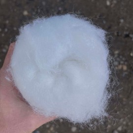 Carded Wool for Felting, Needle Felting Wool, Wool Batt, Craft Wool, Single Shade, 100 Grams 3.5 Oz (White (100))