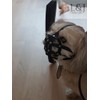 L&J Pets Uk Leather Dog Muzzle for Shih Tzu and