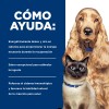Hills A/d Perro/gato Recuperacion 24 Latas De 156g Original