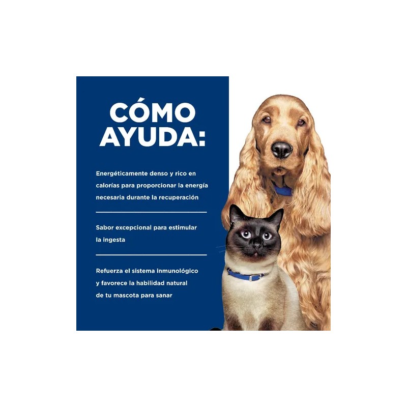 Hills A/d Perro/gato Recuperacion 24 Latas De 156g Original