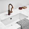 Sink Overflow Ring, 4 Pcs Bathroom Sink Overflow Trim Ring