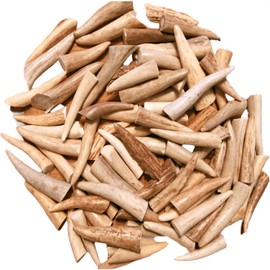 WhiteTail Naturals New 24 Pack - Small (1" to 2") Polished Deer Antler Crafting Tips - Points for Jewelry Making, Key Chains, Home Decor, Native Crafts & Pendants