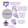 AOR, Probiotic 3, Digestive Aid for a Healthy Gastrointestinal Tract,