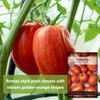 Sow Right Seeds - Striped Paste Tomato Seeds for Planting