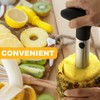 Rngeo 2 Pack Stainless Steel Pineapple Corer Cutter Slicer Peeler