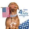Faygarsle Patriotic Dog Collar, 4th of July Design, American Flag