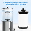 Alexapure Water Filter Replacement, 2387 Pro Filter Replacement 5000 Gallon