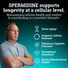 Spermidine Supplement (1440mg of 99% Pure Spermidine Supplements For Women