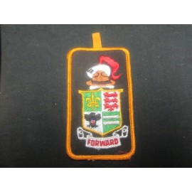 All Out for Scouting 1970's Patch     NPC4