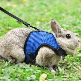 Pettom Bunny Rabbit Harness with Stretchy Leash Cute Adjustable Buckle Breathable Mesh Vest for Kitten Small Pets Walking (L(Chest:10.6-13.3 in), Blue)