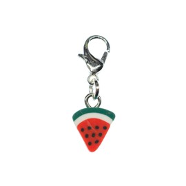 Miniblings Watermelon Charm Zipper Pull Pendant Fruit Fruit Melon Disc – Handmade Fashion Jewellery I Silver Plated Pendant Charm Bracelet – Pendant for Bracelet, Polymer Clay