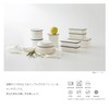 Takenaka Retro Moda Lunch Box, Square Lunch, Navy, Upper Level,