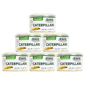 Canned Catepillars 1.2 oz (6 Pack) - Healthy High Protein Insect Treat - Hedgehogs, Sugar Gliders, Reptiles, Wild Birds, Chickens, Lizards, Bearded Dragons, Skunks, Opossums, Fish, Amphibians