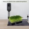 Digital Temperature Controller Simple Stage Thermostat Outlet Heating & Cooling