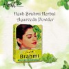 Hesh Herbal Brahmi Powder 100GM X 2 | 100% Natural