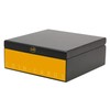 Coin Cards Magazin Box,Holz