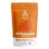 HYBRID HERBS - Astragalus Powder | High Potency Supplement -