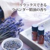 B Brilliet Bust Cream, Hip Cream, Collagen, Bust Care, Moisturizing,