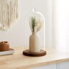 Farmlyn Creek Glass Cloche Dome Bell Jar Display Case with