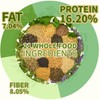 Kiki’s Premium Parrot Food| Protein-Rich Low-Fat Formula | Cockatiel, Conure,