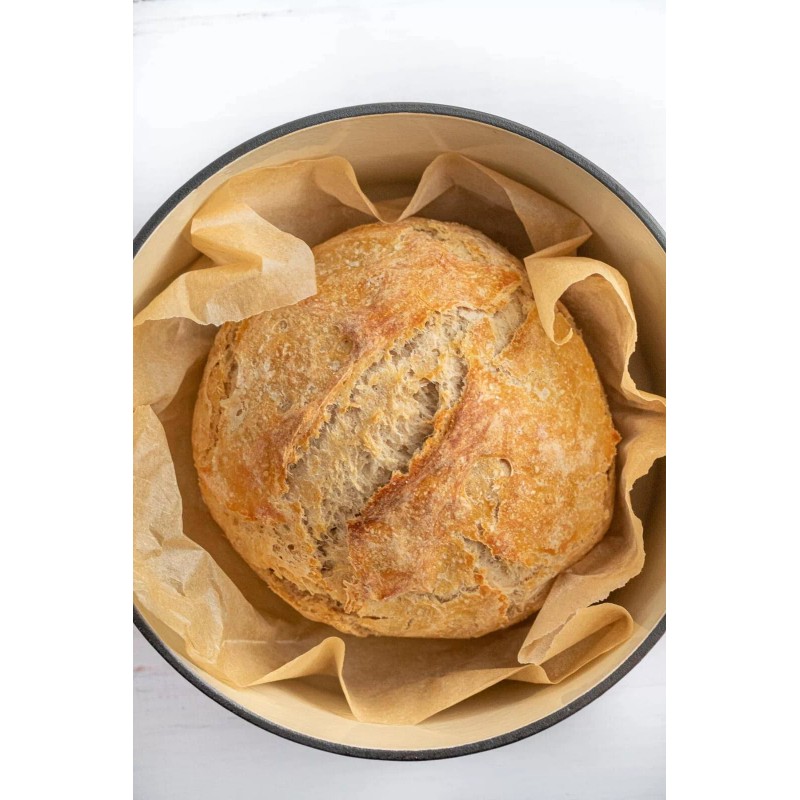 Heritage Sour Sourdough Starter Dehydrated Culture Active German Bavarian Style