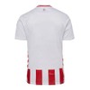 hummel 1. FC Köln Home Jersey 2025/2026 White Men, White