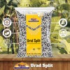 Rani Urid/Urad Split Chilka (Split Matpe Beans with Skin) Indian
