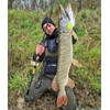 LMAB Drunk Bait 8, 12, 16 & 20 cm –