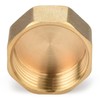 nutmanel Brass Cap 1 Inch Female Thread, Brass Blanking Plug