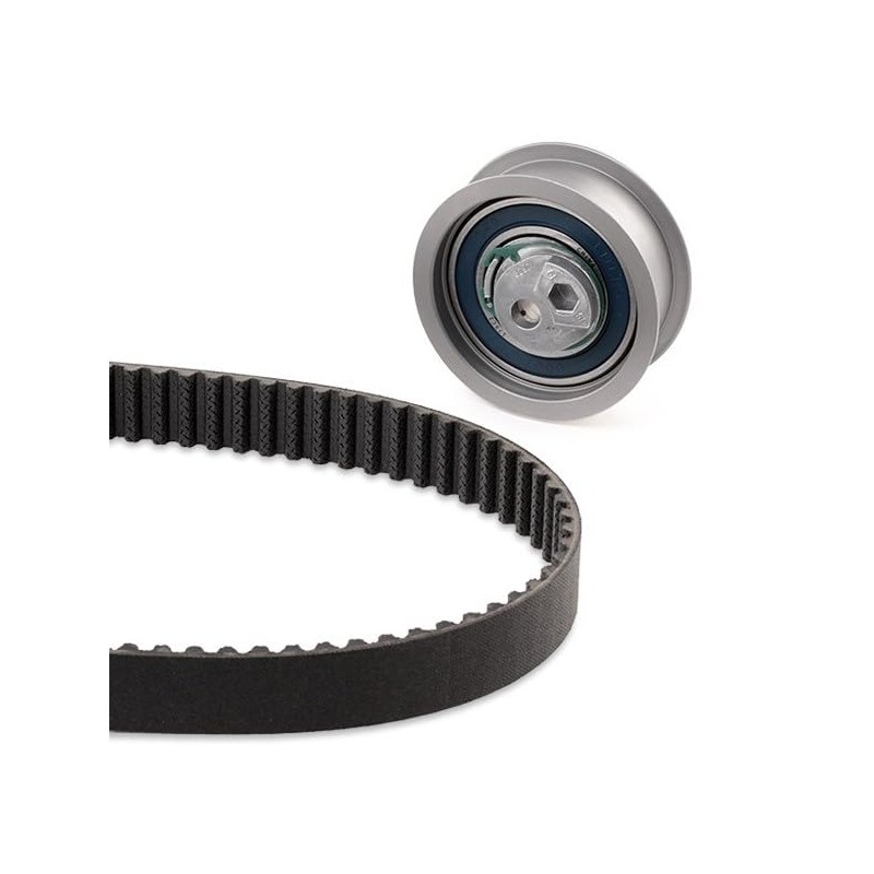 INA 530 0445 10 Timing Belt Kit