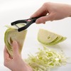 Westmark Cabbage Slicer Universal, Stainless Steel Black/Silver, 17.1 x 10