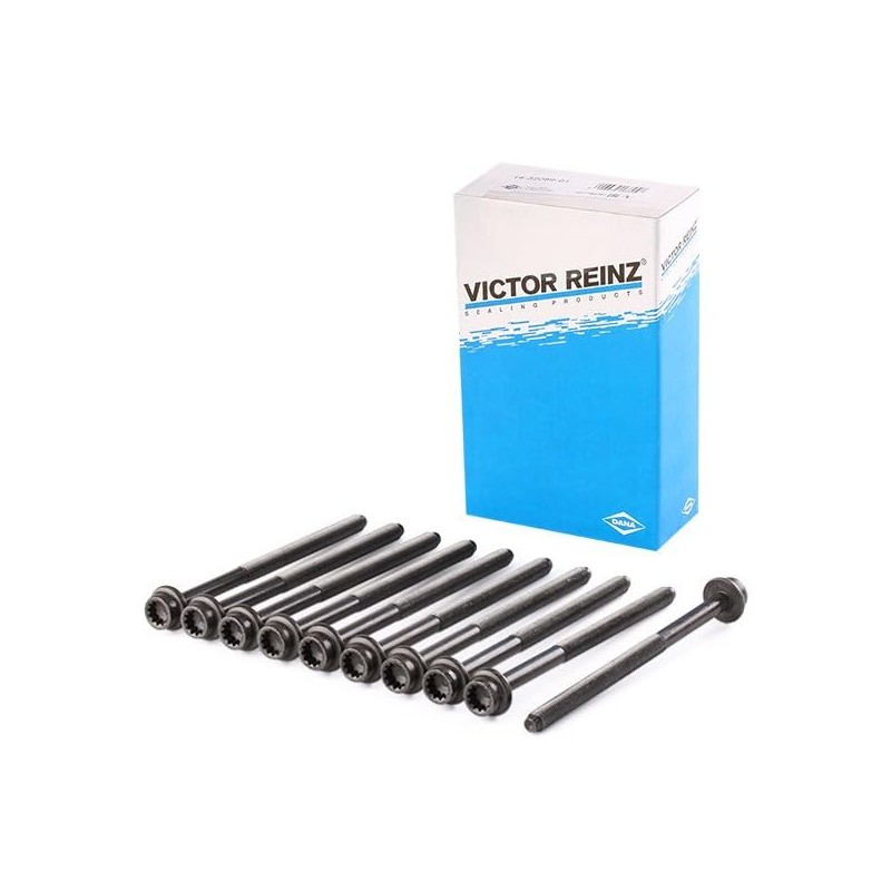 Reinz 14-32120-01 Cylinder Head Bolt Set