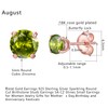 Earrings for Women, S925 Sterling Silver Birthstone Round Studs Earring