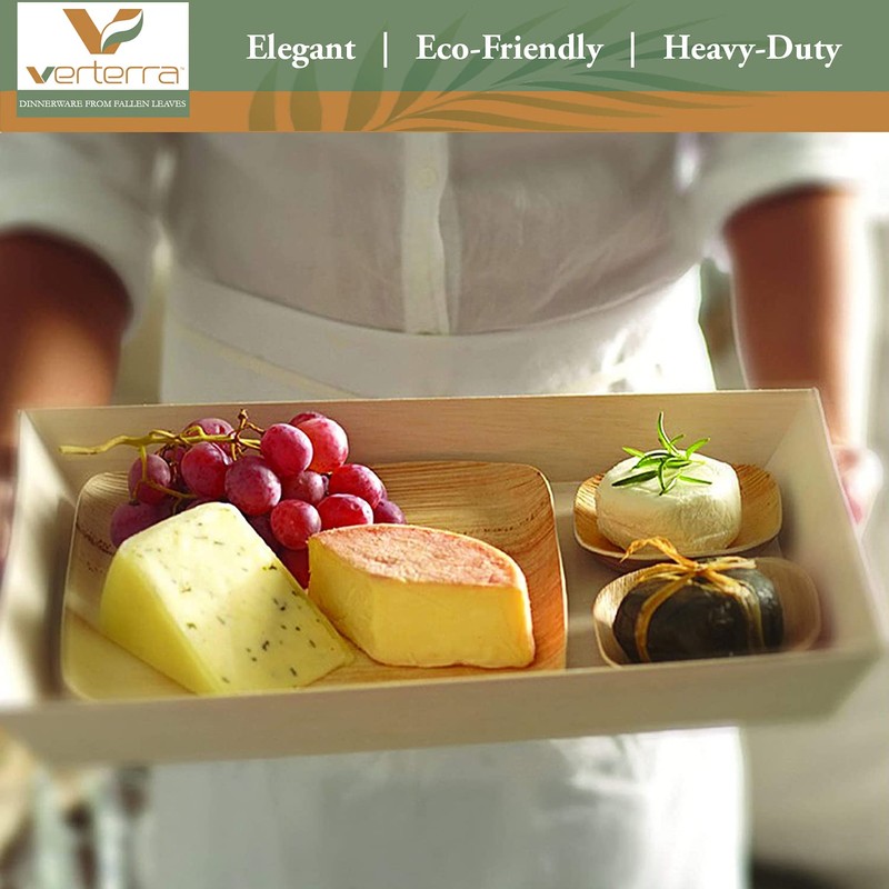 Verterra Compostable Palm Leaf 8-inch Square Disposable Plate, Heavy Duty,