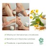 Pomada De Arnica De Trikaya Herbolaria Sin Aroma