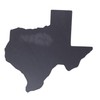 Texas State Pride Acrylic Magnet, Collectible USA Souvenir Keepsake, 3.25