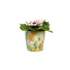 Beatrix Potter Peter Rabbit Eco Pots Set 2 - Beatrix