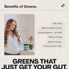 Switch Nutrition Greens Cloudy Apple 250g