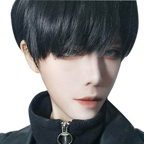 IOZO mens03 Men's Wig, Short, Full Wig, Medium, Black, Extensions,