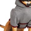 Reddy Soothing Dog Hoodie, Medium