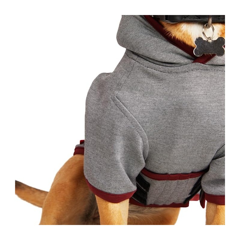 Reddy Soothing Dog Hoodie, Medium