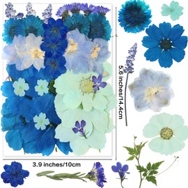 OECCO Large Blue Dried Pressed Flower for Resin, Big Real Nature Pressing Floral Leaves for DIY Craft, Mold, Jewelry Making, Candle Scrapbooking Supplies