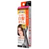 Salon de Pro Color Touch-up For Gray Hair, EX 0.6