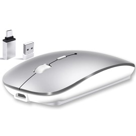 Qxvnm DE Wireless Mouse Bluetooth (USB + BT+ USB-C Adapter) Wireless Mouse Silver