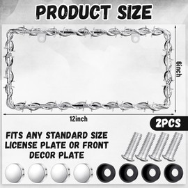 MorningRo 2 Pcs Universal License Plate Frame Plastic Barbed Wire Coconut Design Frame Compatible with Standard License Plate for USA 2 Holes with Screws for Women Men(Silver)